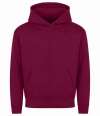 JH501B JH501J AWDis Kids Hoodie 2.0 Burgundy colour image